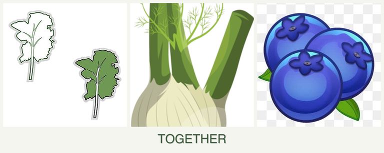Can you plant kale, fennel and blueberries together?
