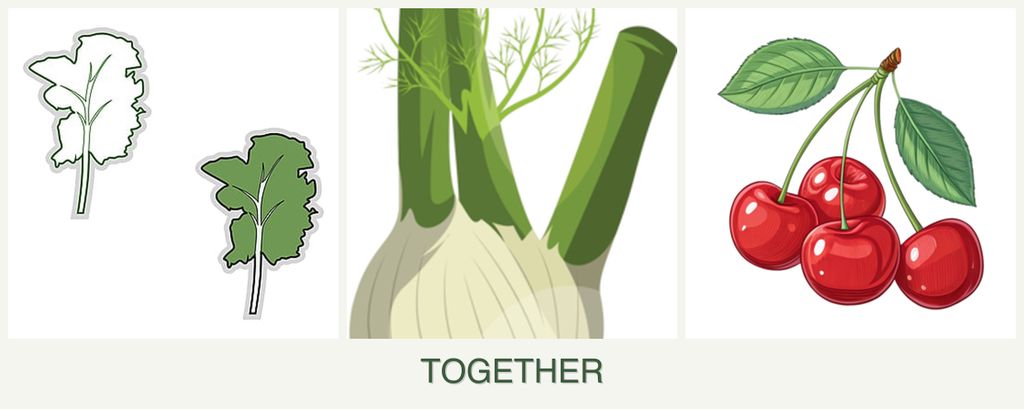 Can you plant kale, fennel and cherries together?
