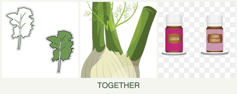 Can you plant kale, fennel and geraniums together?