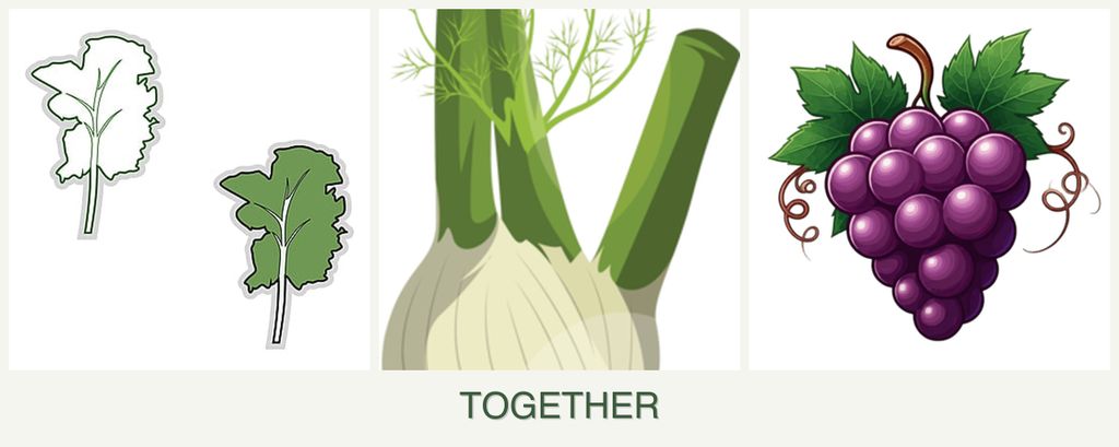Can you plant kale, fennel and grapes together?