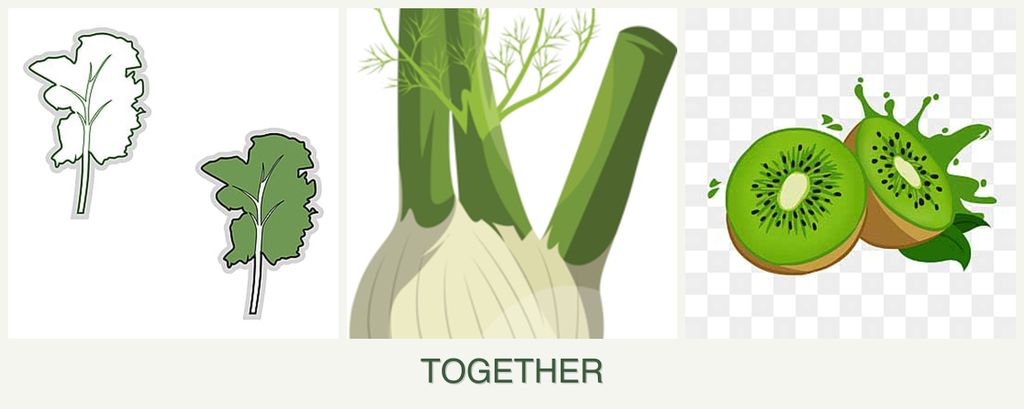 Can you plant kale, fennel and kiwi together?