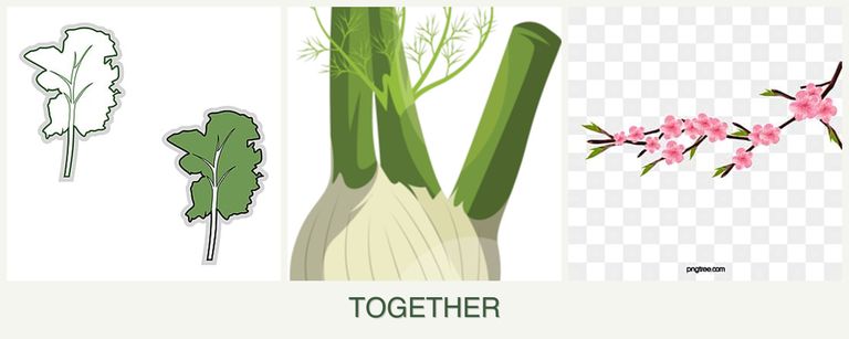 Can you plant kale, fennel and peaches together?