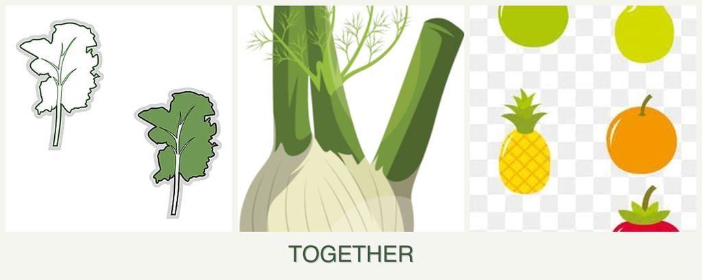 Can you plant kale, fennel and pears together?