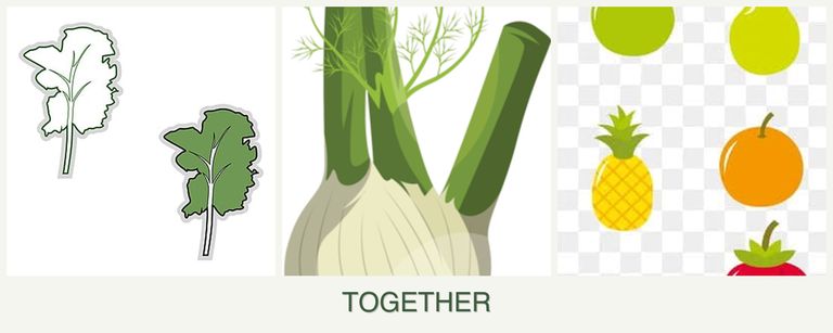 Can you plant kale, fennel and pears together?