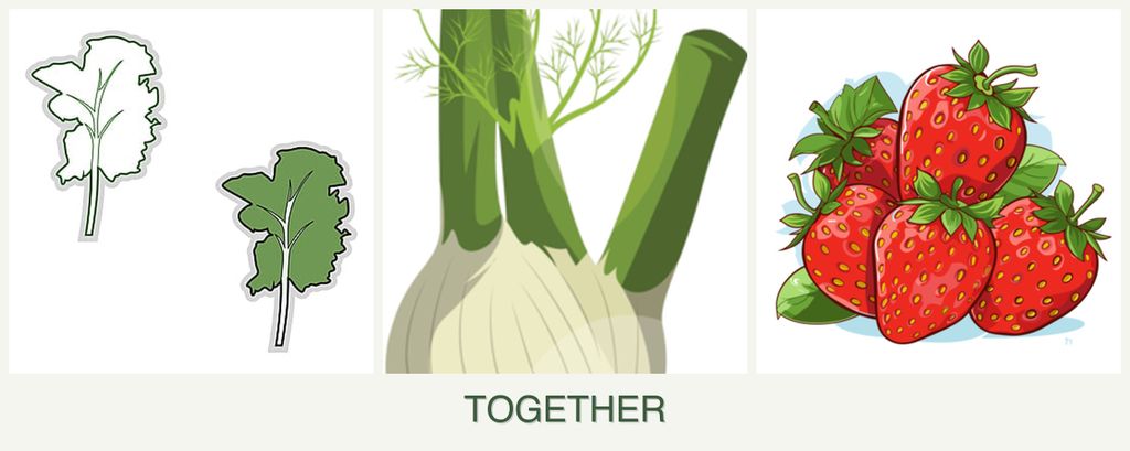 Can you plant kale, fennel and strawberries together?
