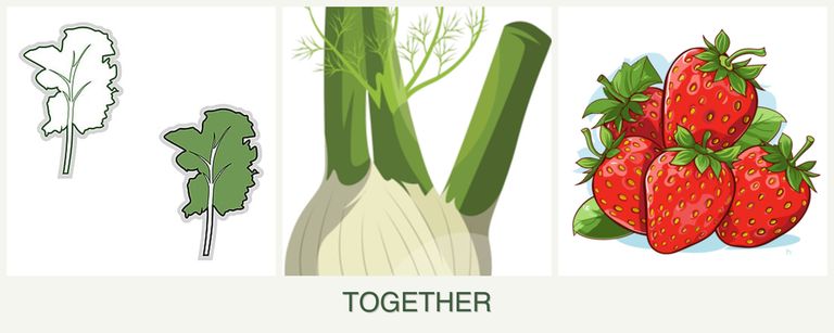 Can you plant kale, fennel and strawberries together?