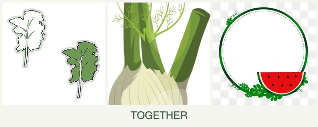 Can you plant kale, fennel and watermelons together?