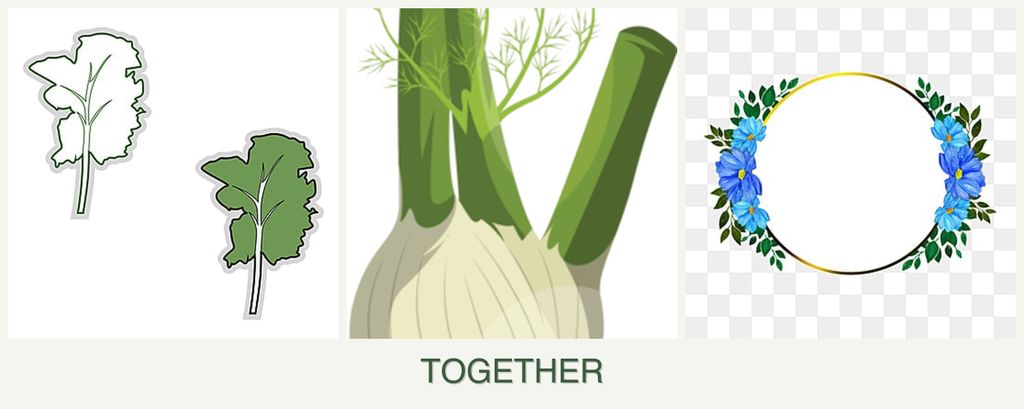 Can you plant kale, fennel and zinnias together?