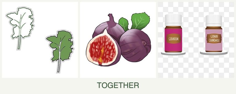 Can you plant kale, figs and geraniums together?