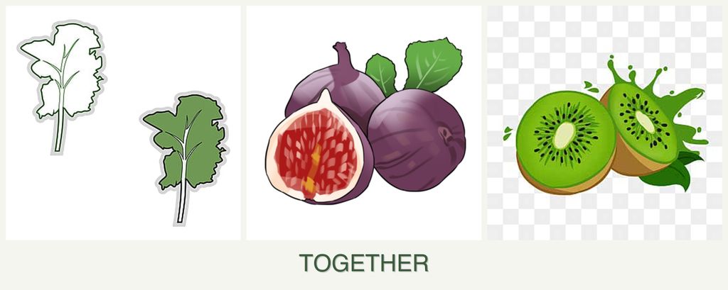 Can you plant kale, figs and kiwi together?