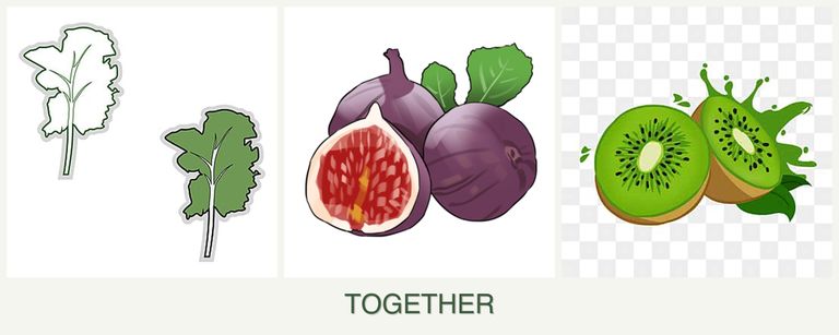 Can you plant kale, figs and kiwi together?