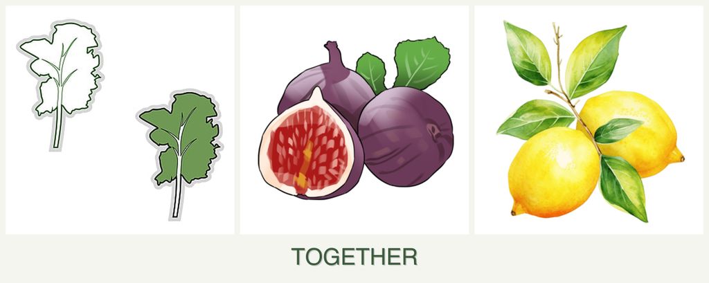 Can you plant kale, figs and lemons together?