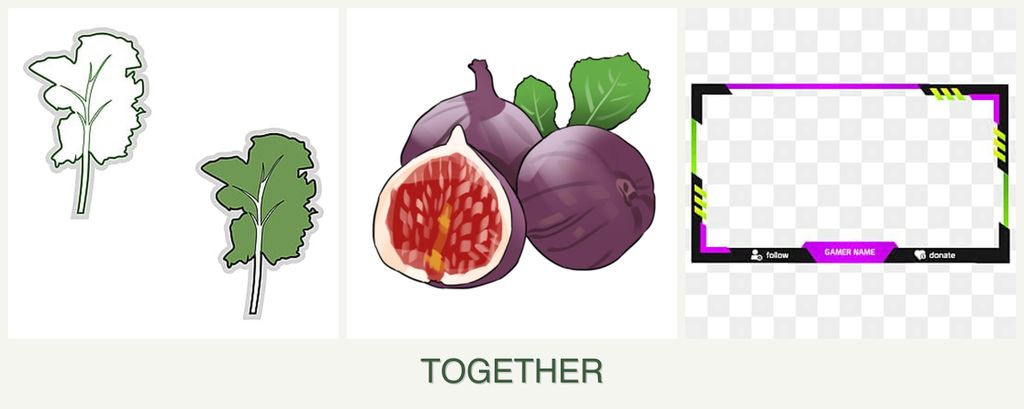 Can you plant kale, figs and limes together?
