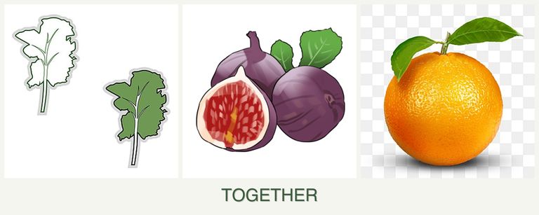 Can you plant kale, figs and oranges together?
