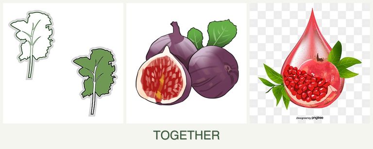 Can you plant kale, figs and pomegranates together?