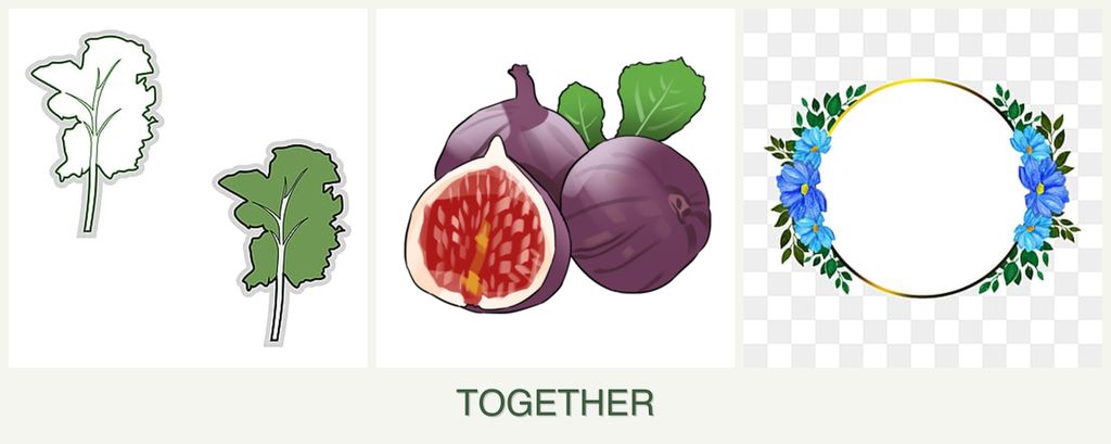 Can you plant kale, figs and zinnias together?