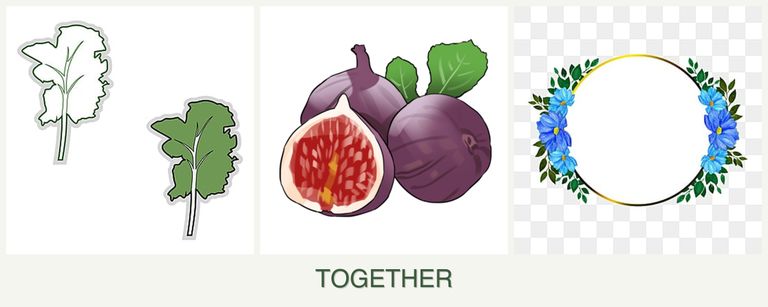 Can you plant kale, figs and zinnias together?