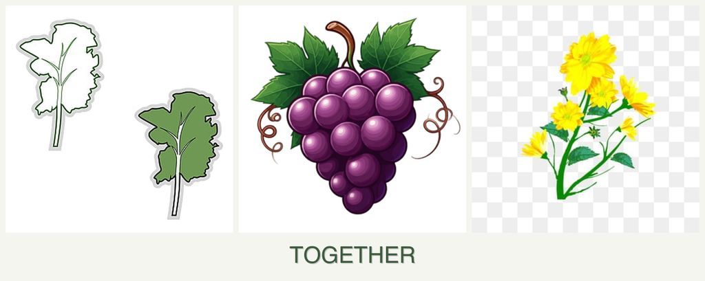 Can you plant kale, grapes and calendula together?
