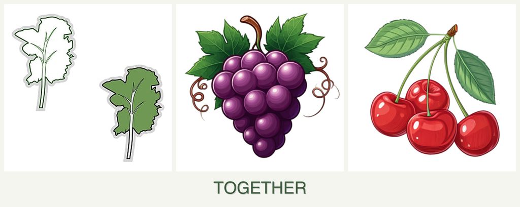 Can you plant kale, grapes and cherries together?