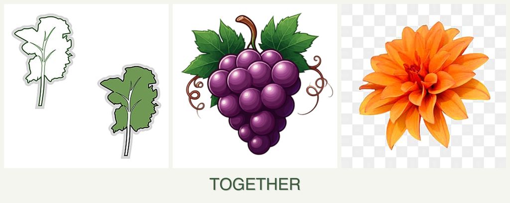 Can you plant kale, grapes and dahlias together?