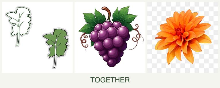 Can you plant kale, grapes and dahlias together?