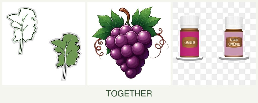 Can you plant kale, grapes and geraniums together?