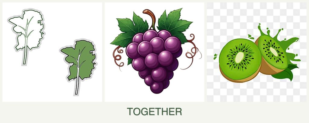 Can you plant kale, grapes and kiwi together?