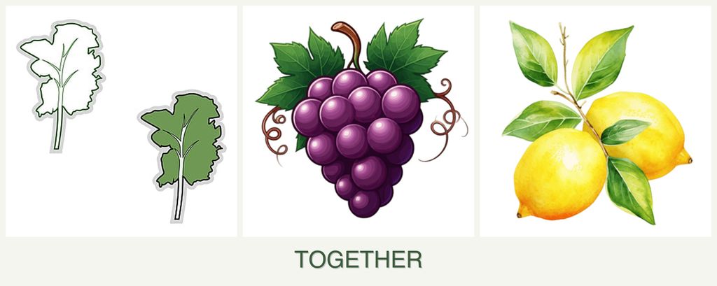 Can you plant kale, grapes and lemons together?