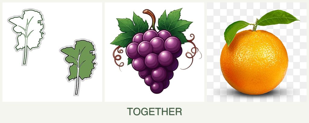Can you plant kale, grapes and oranges together?