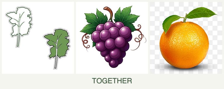 Can you plant kale, grapes and oranges together?