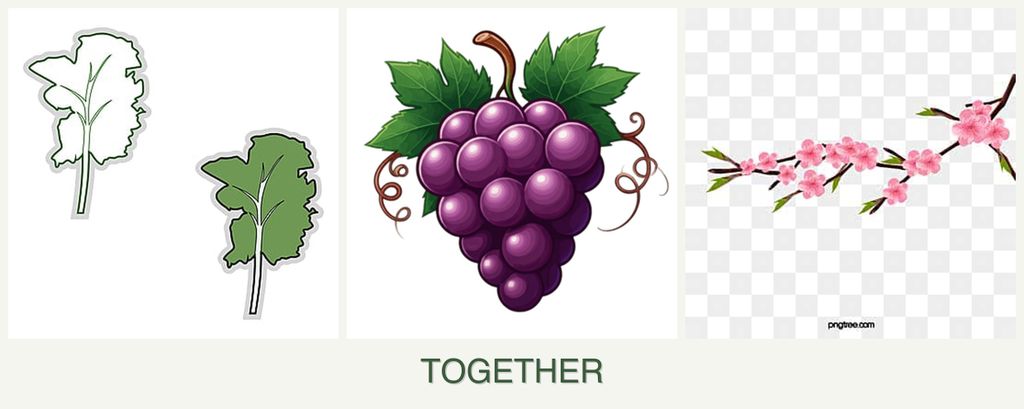 Can you plant kale, grapes and peaches together?