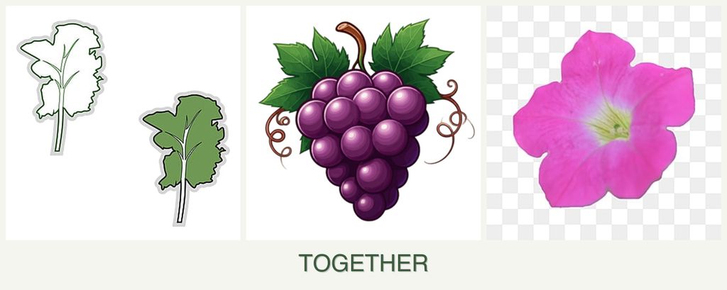 Can you plant kale, grapes and petunias together?