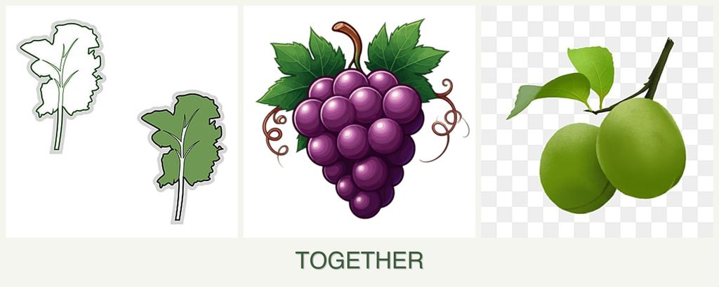 Can you plant kale, grapes and plums together?
