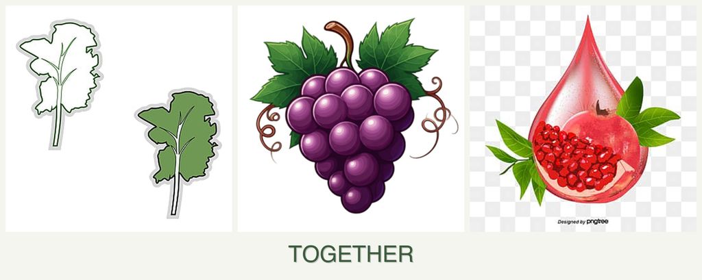 Can you plant kale, grapes and pomegranates together?