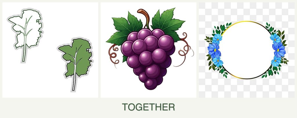Can you plant kale, grapes and zinnias together?