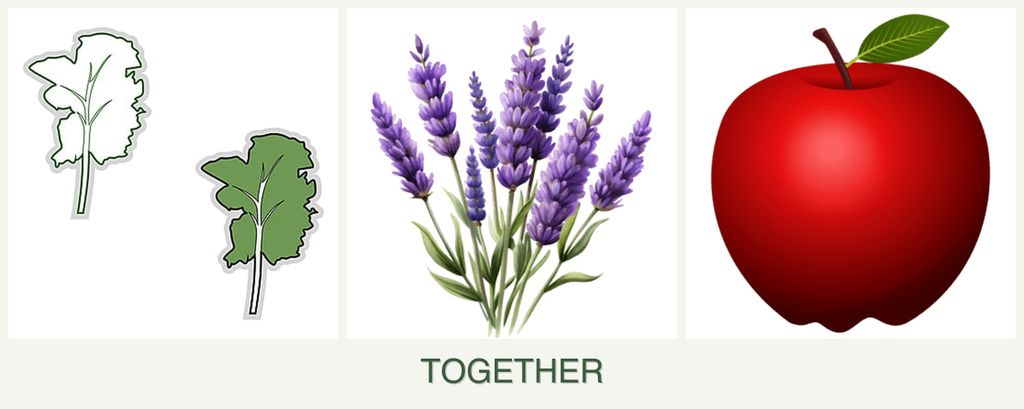 Can you plant kale, lavender and apples together?