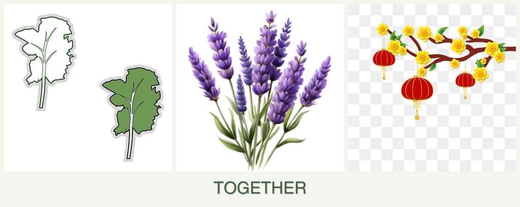 Can you plant kale, lavender and apricots together?