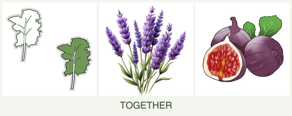 Can you plant kale, lavender and figs together?