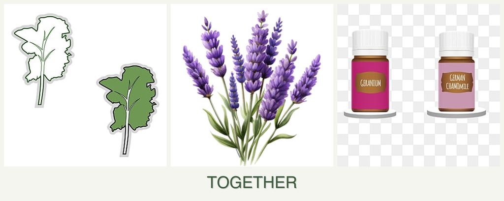 Can you plant kale, lavender and geraniums together?