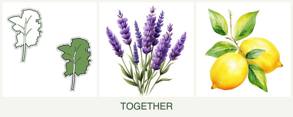 Can you plant kale, lavender and lemons together?