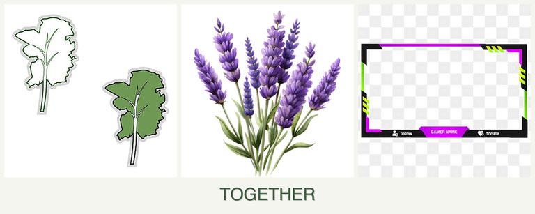 Can you plant kale, lavender and limes together?