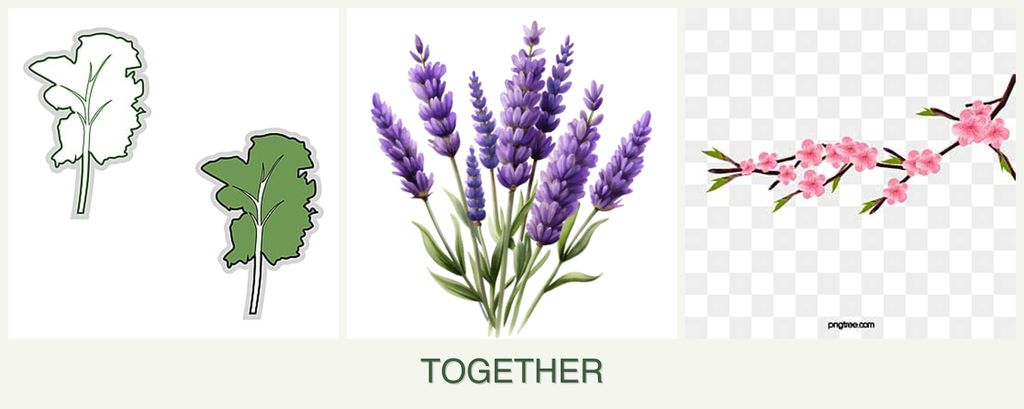 Can you plant kale, lavender and peaches together?