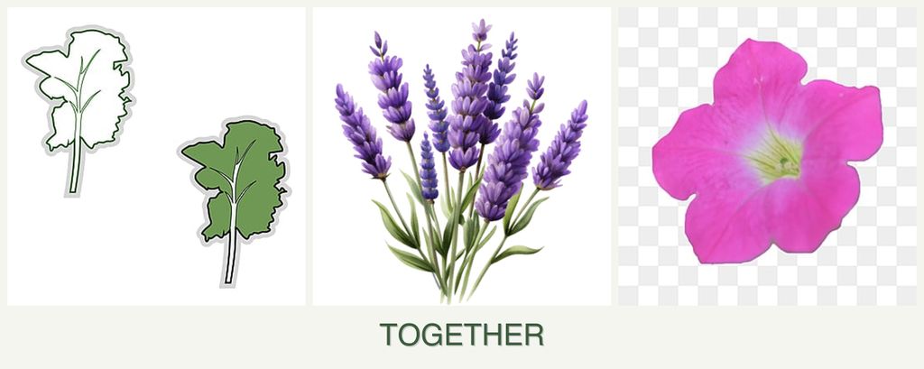 Can you plant kale, lavender and petunias together?