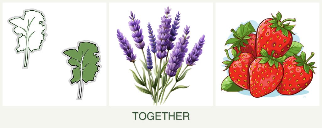 Can you plant kale, lavender and strawberries together?