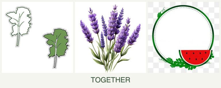 Can you plant kale, lavender and watermelons together?