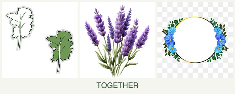Can you plant kale, lavender and zinnias together?