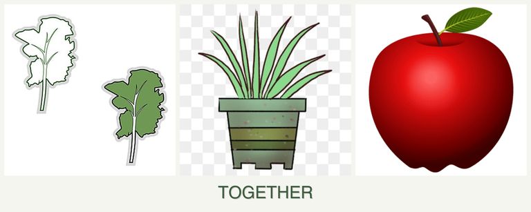 Can you plant kale, lemongrass and apples together?