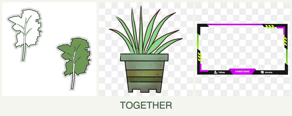 Can you plant kale, lemongrass and limes together?