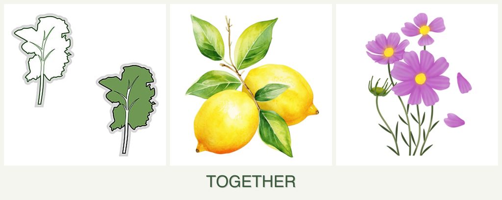 Can you plant kale, lemons and cosmos together?