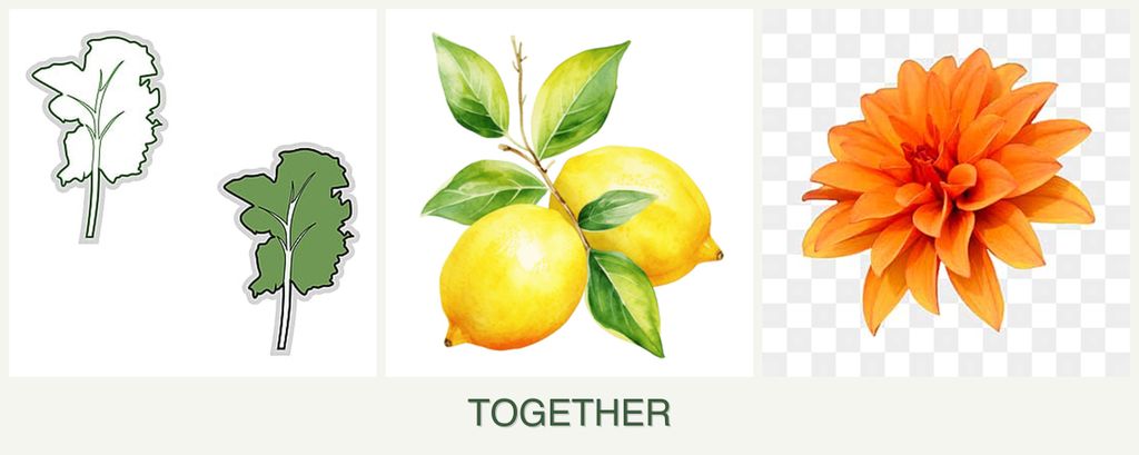 Can you plant kale, lemons and dahlias together?